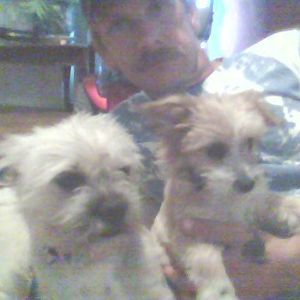 Meet your Posher, Terry